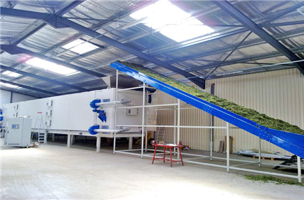 Rotary Drying Equipment Commercial fruit dryer machine 12 layer drying  machine in Zhengzhou, Henan, China